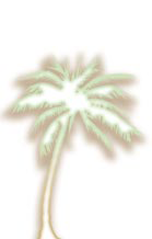 a palm tree